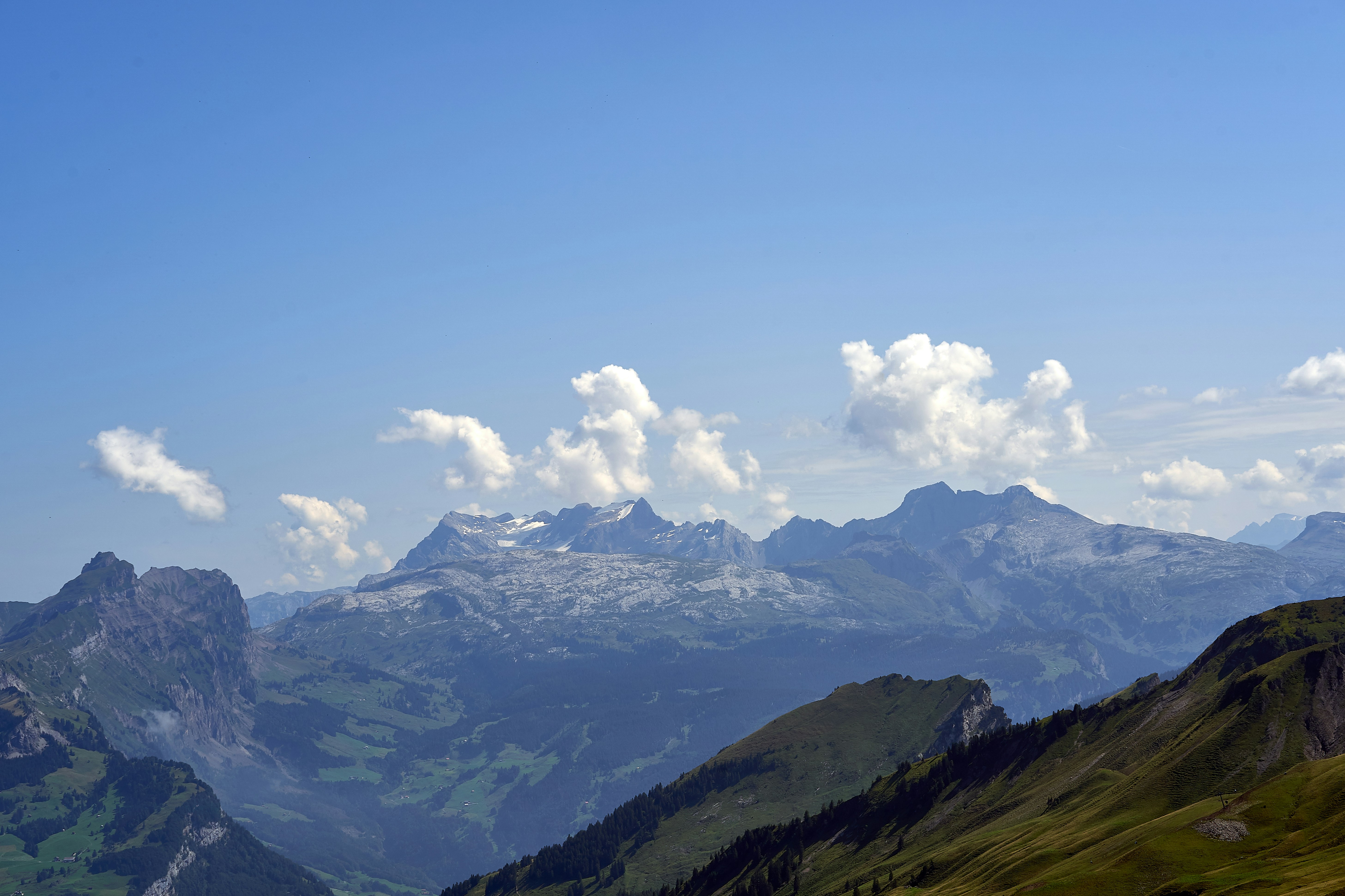 Photo by wolfgang_hasselmann