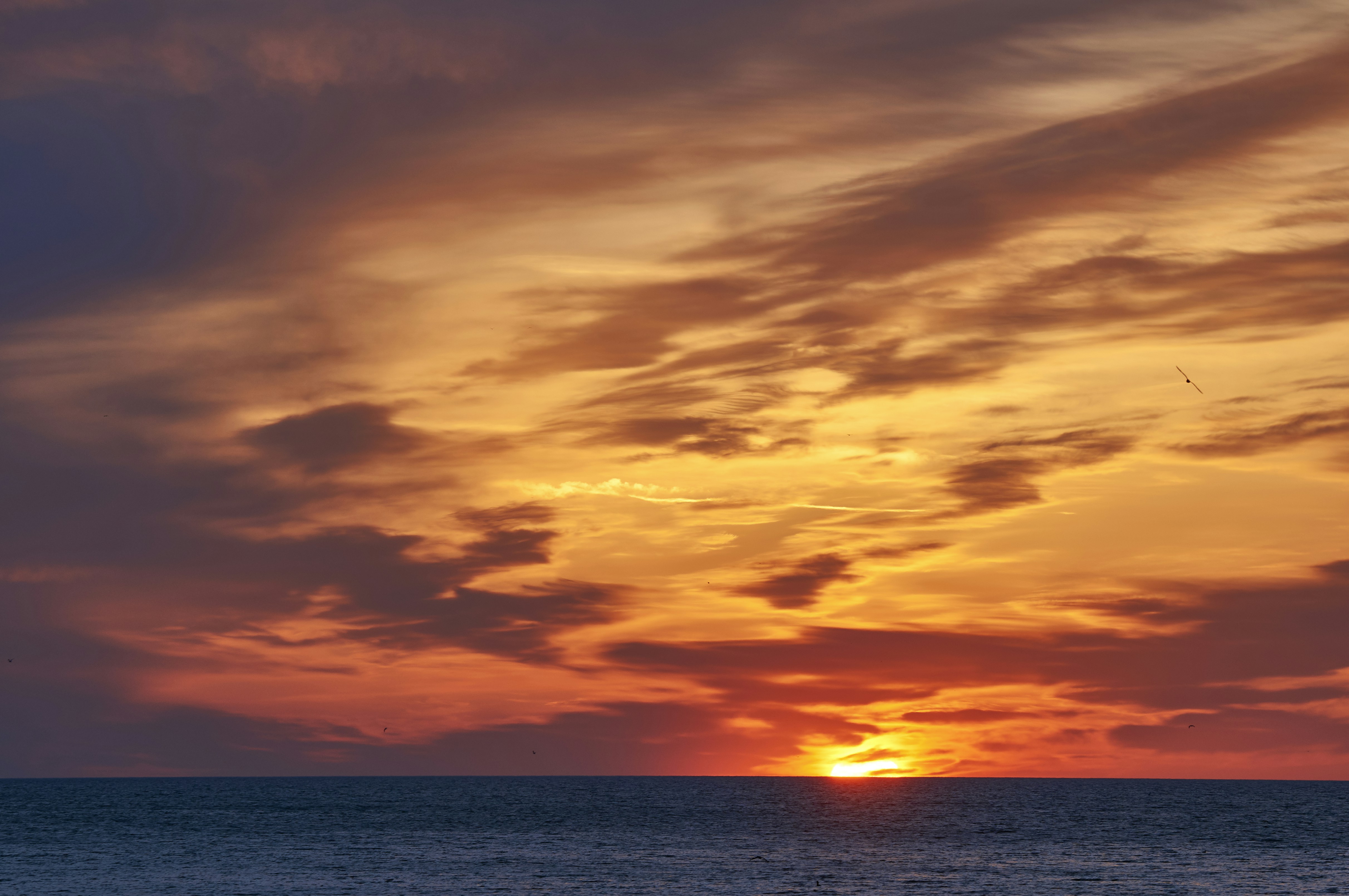 Photo by wolfgang_hasselmann