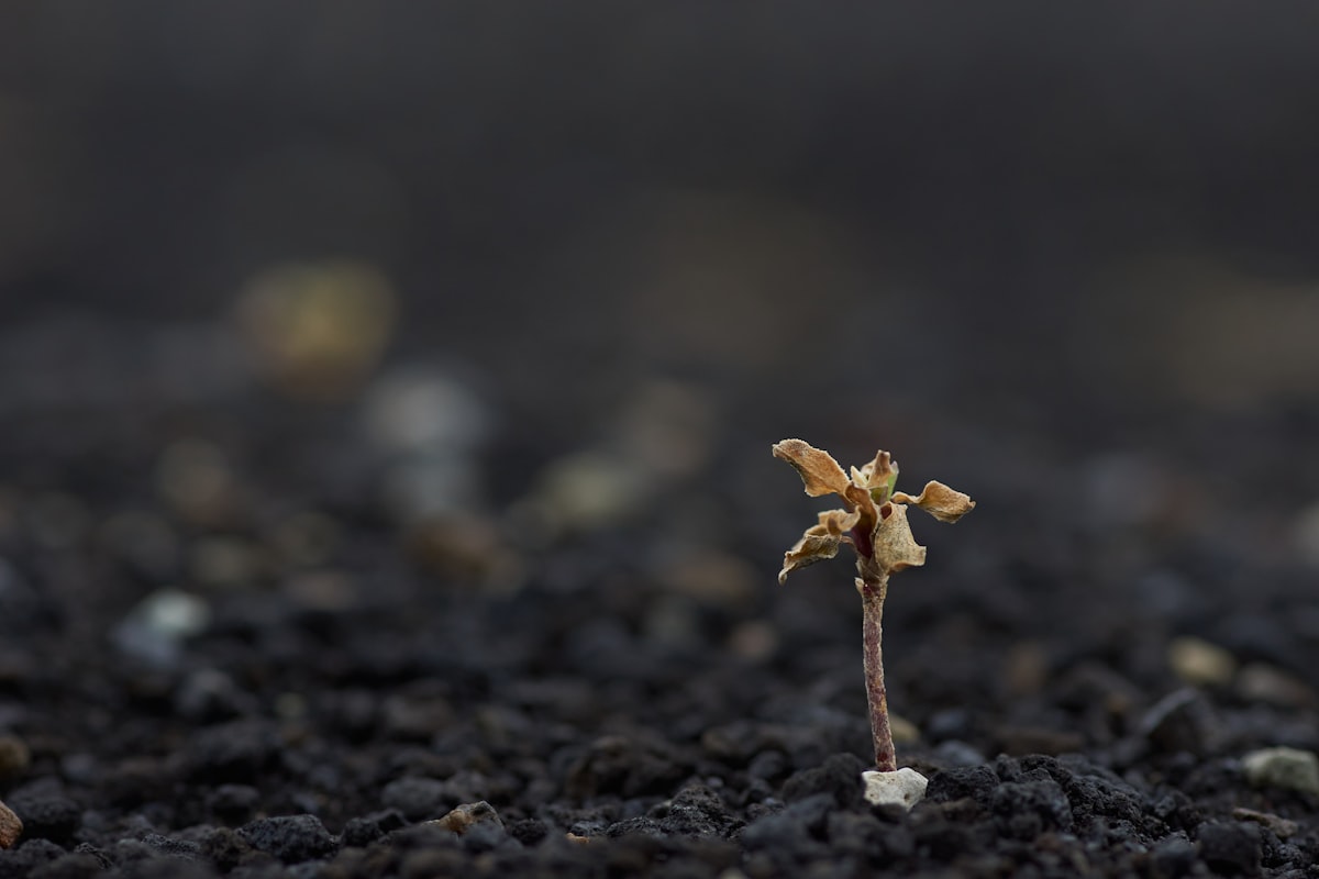 Os arquivos Epstein revelam o truque mais antigo dos ultra-ricos: como arte vira máquina de lavar dinheiro e blindagem patrimonial