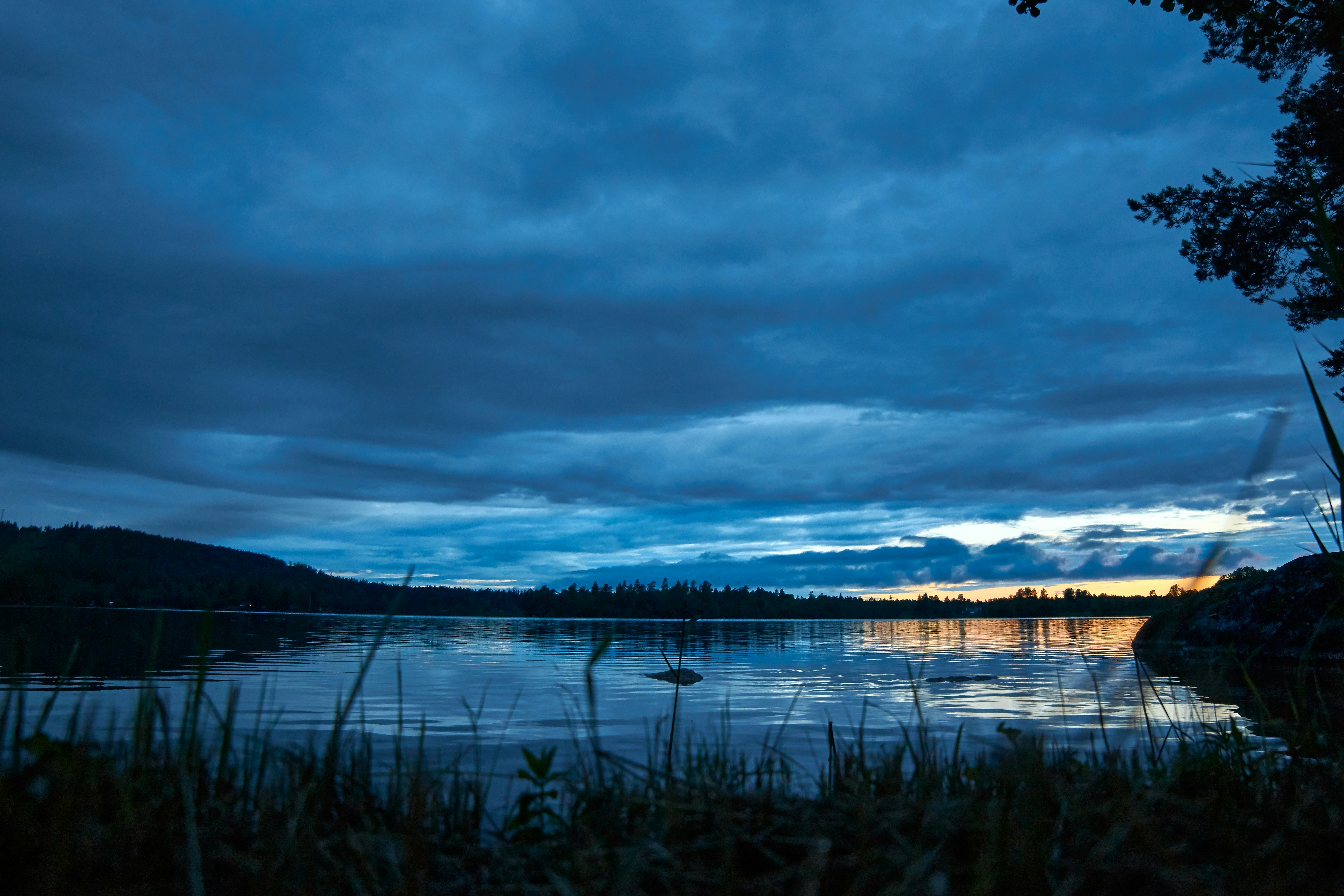 Photo by wolfgang_hasselmann