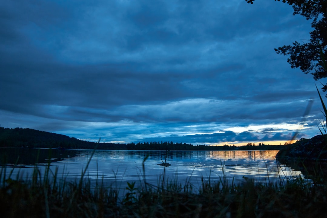 green grass near body of water under cloudy sky during daytime