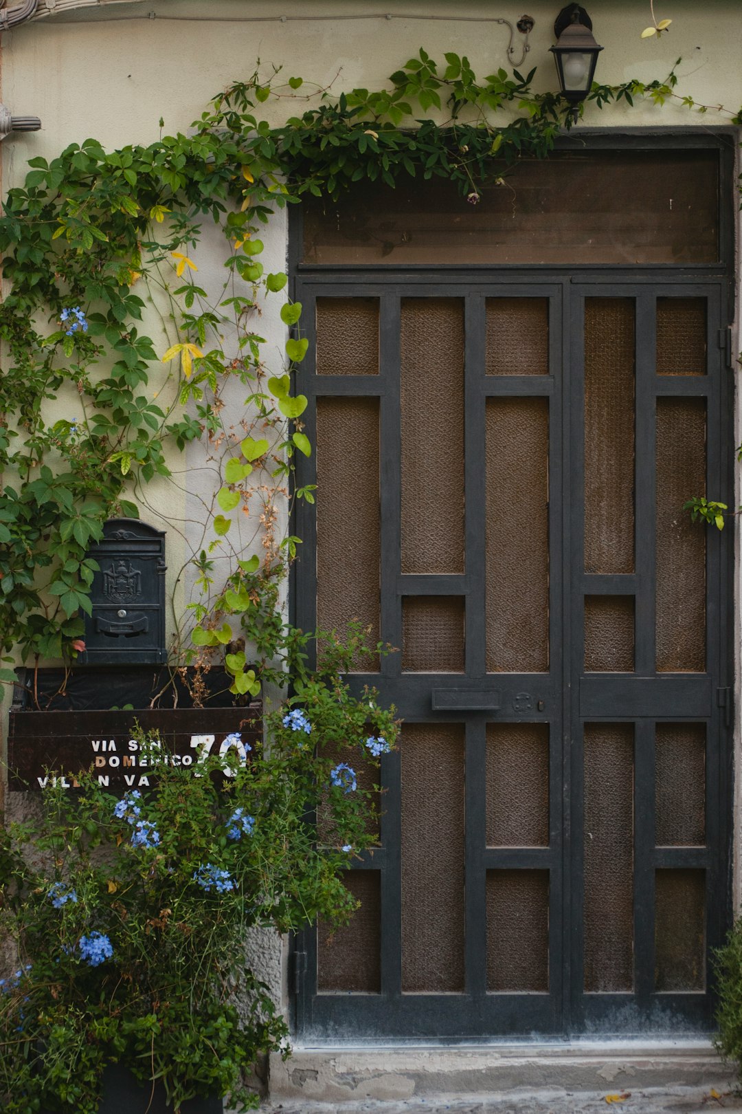 brown wooden door with green plants