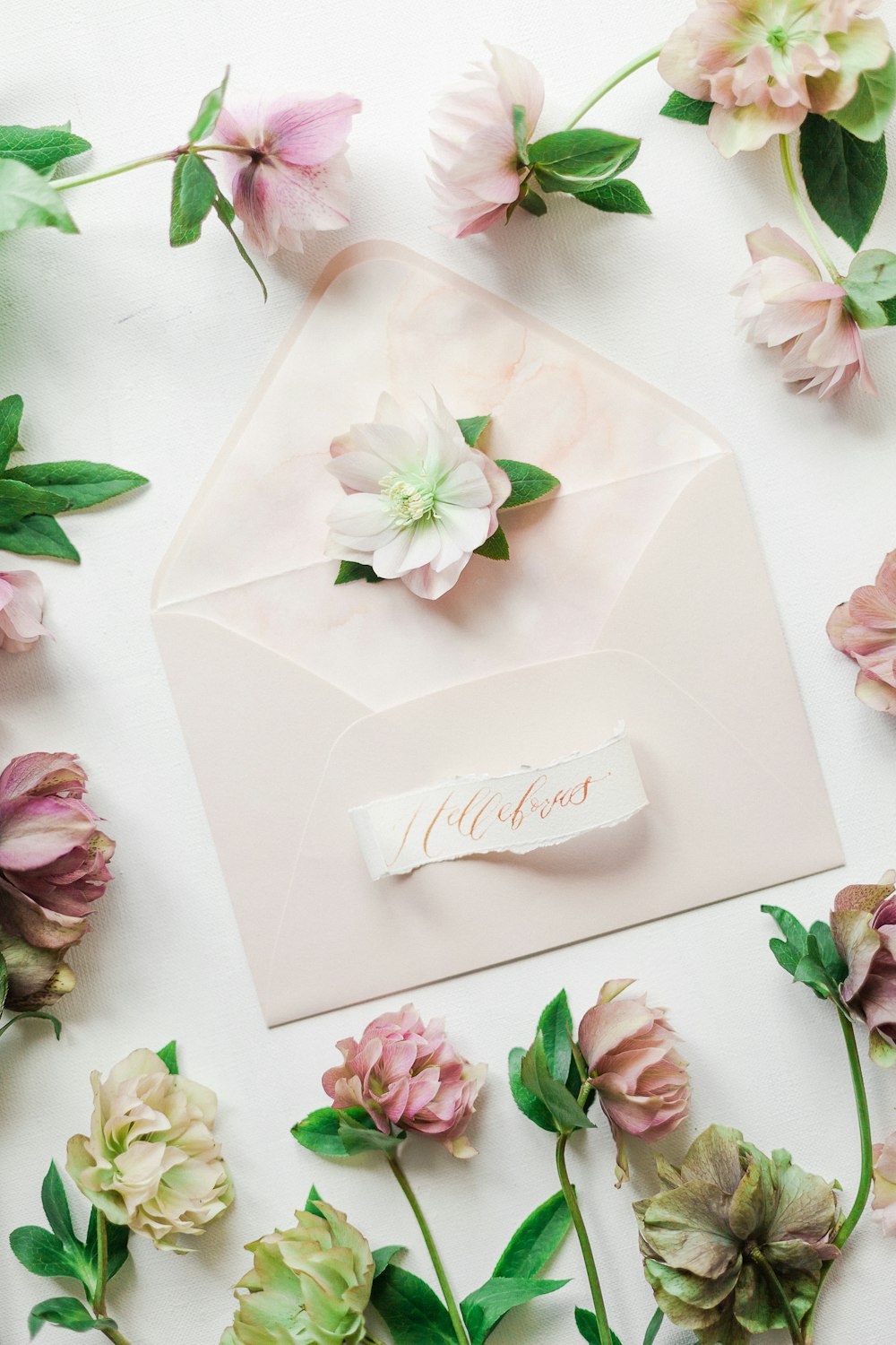 white and pink rose petals on white paper