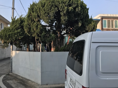 White delivery van parked on a quiet suburban street surrounded by greenery.