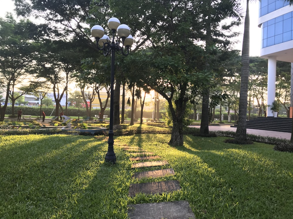 green grass field with trees and lamp posts