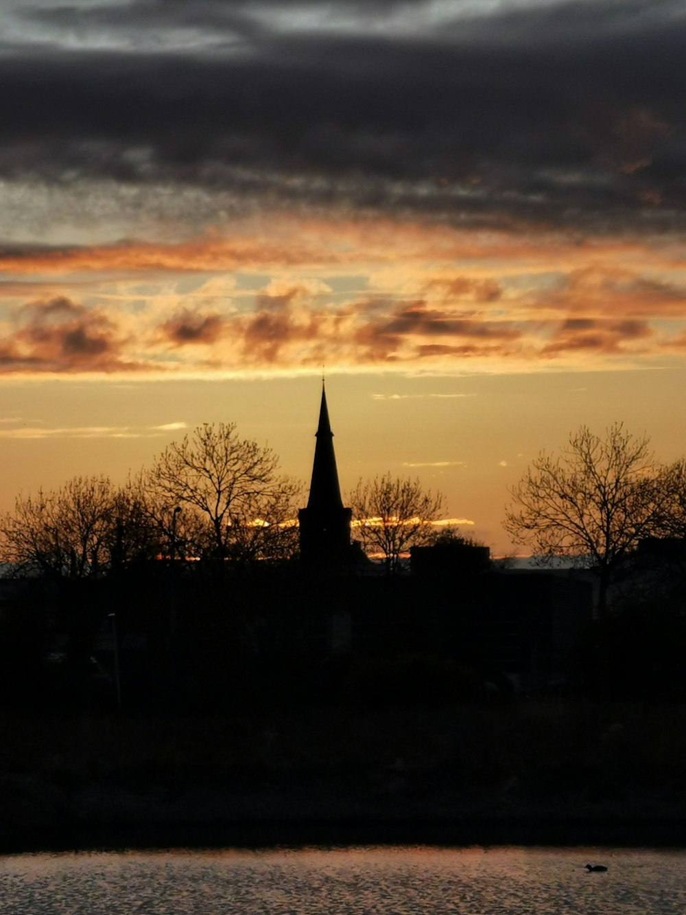 silhouette of trees and building during sunset