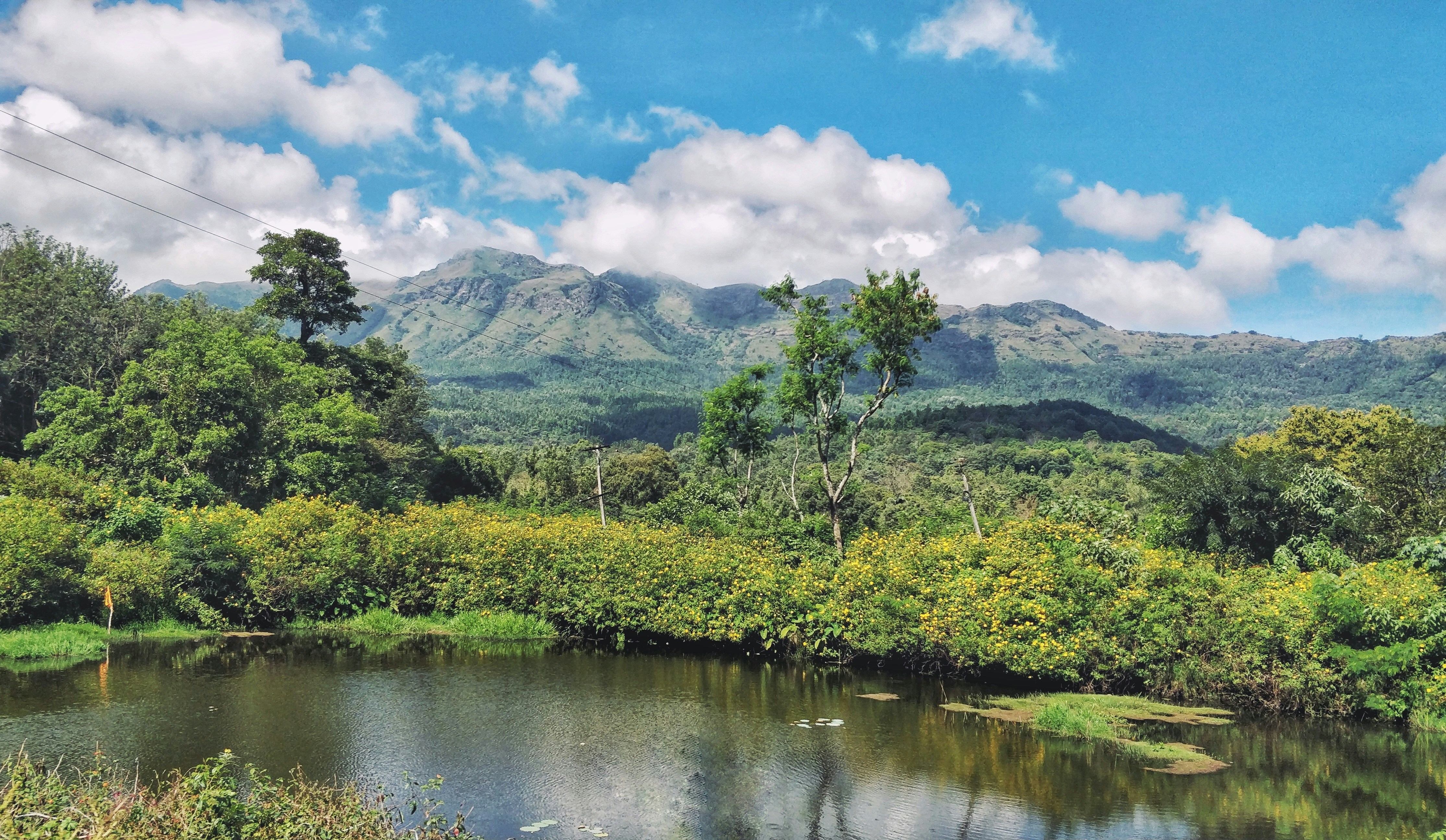 green trees near lake under white clouds and blue sky during daytime