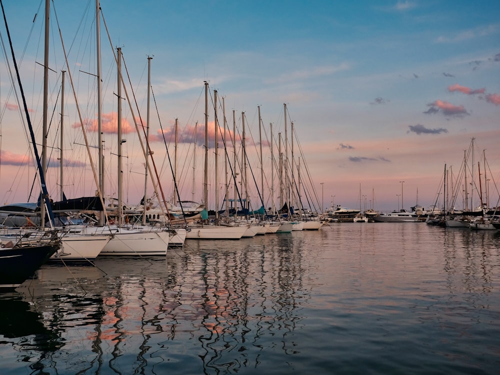 white sail boats on sea during daytime