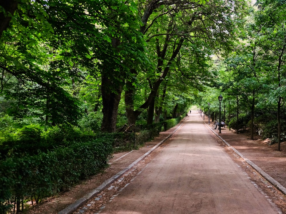 gray concrete road between green trees during daytime