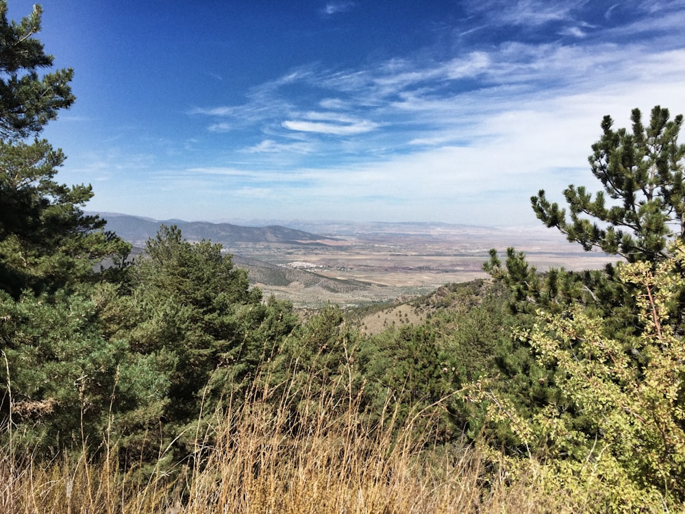 green trees and brown mountains under blue sky during daytime