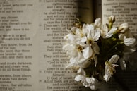 Close-up of delicate white petals scattered over an open memorial book with heartfelt messages.