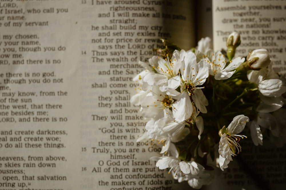 white flowers on book page