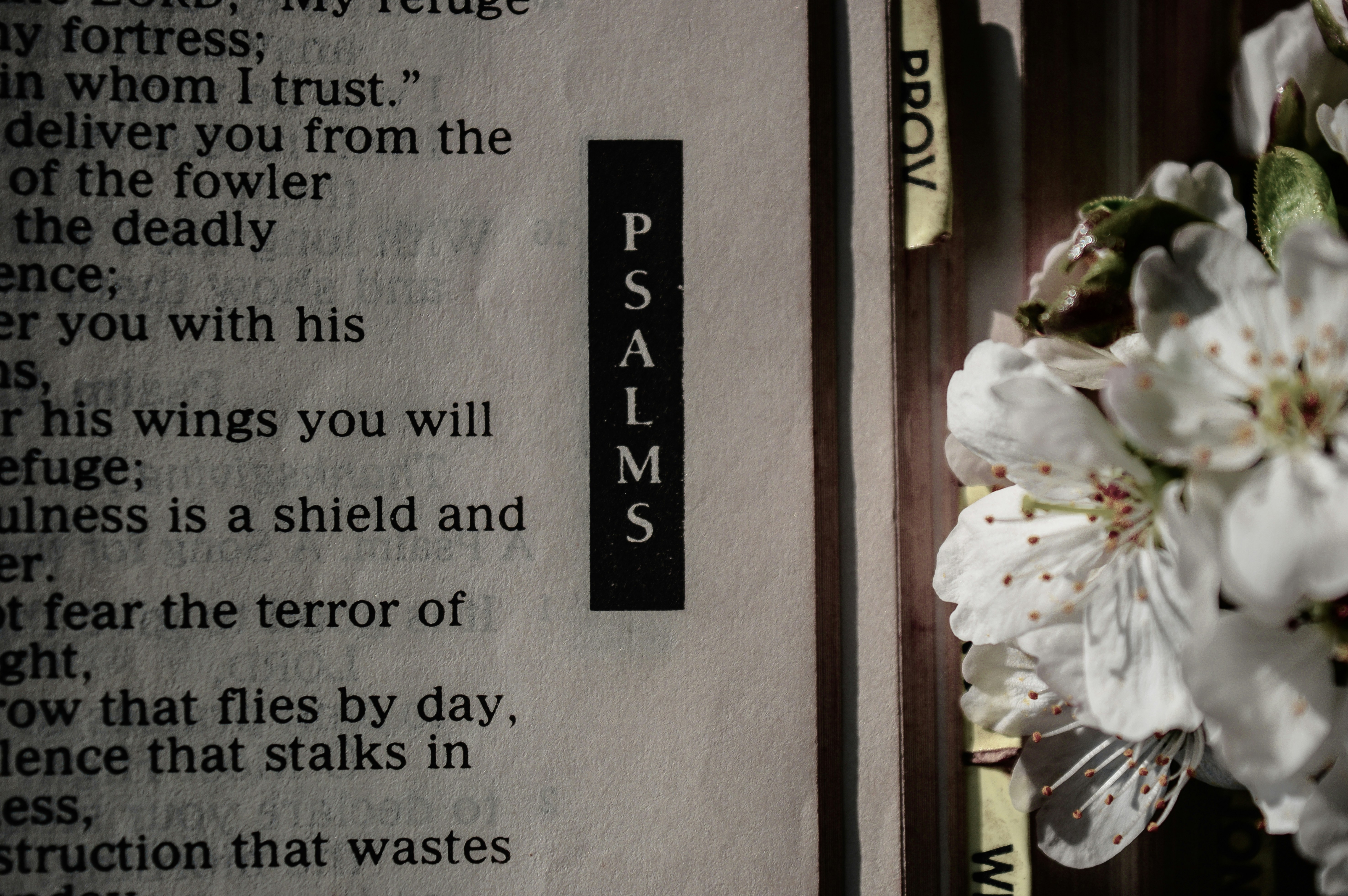 black and white quote board