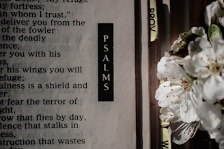 black and white quote board