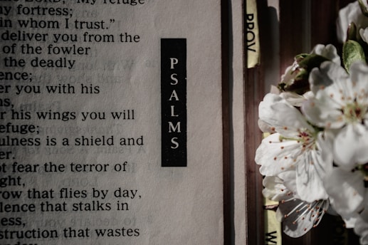 black and white quote board