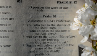 i am a little girl i am a little girl i am a little girl