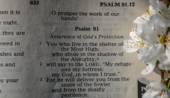 i am a little girl i am a little girl i am a little girl