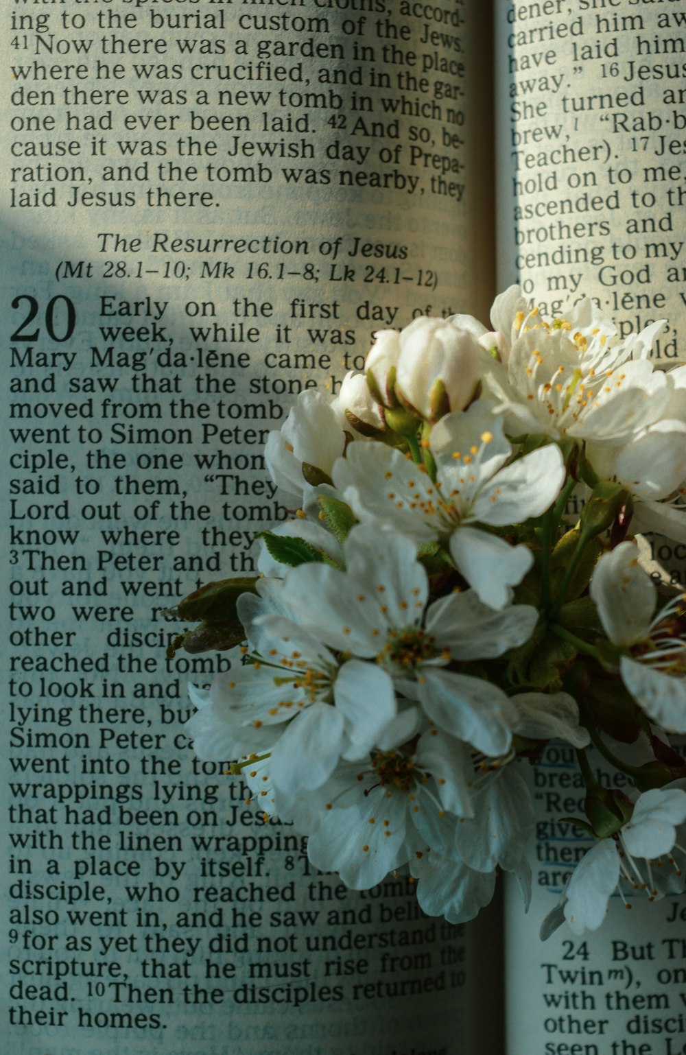 white flowers on book page