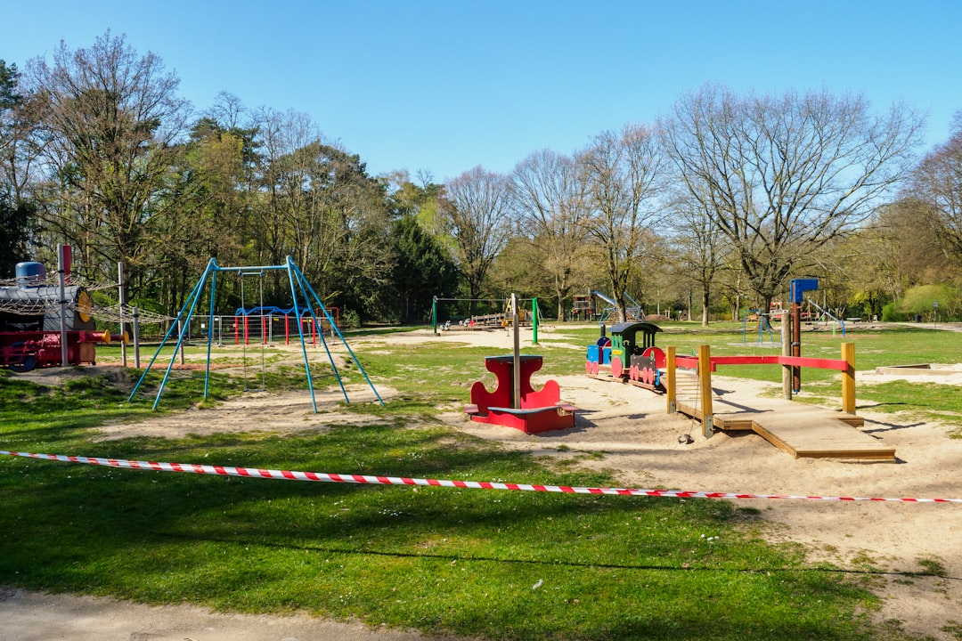 red and black playground surrounded by trees during daytime