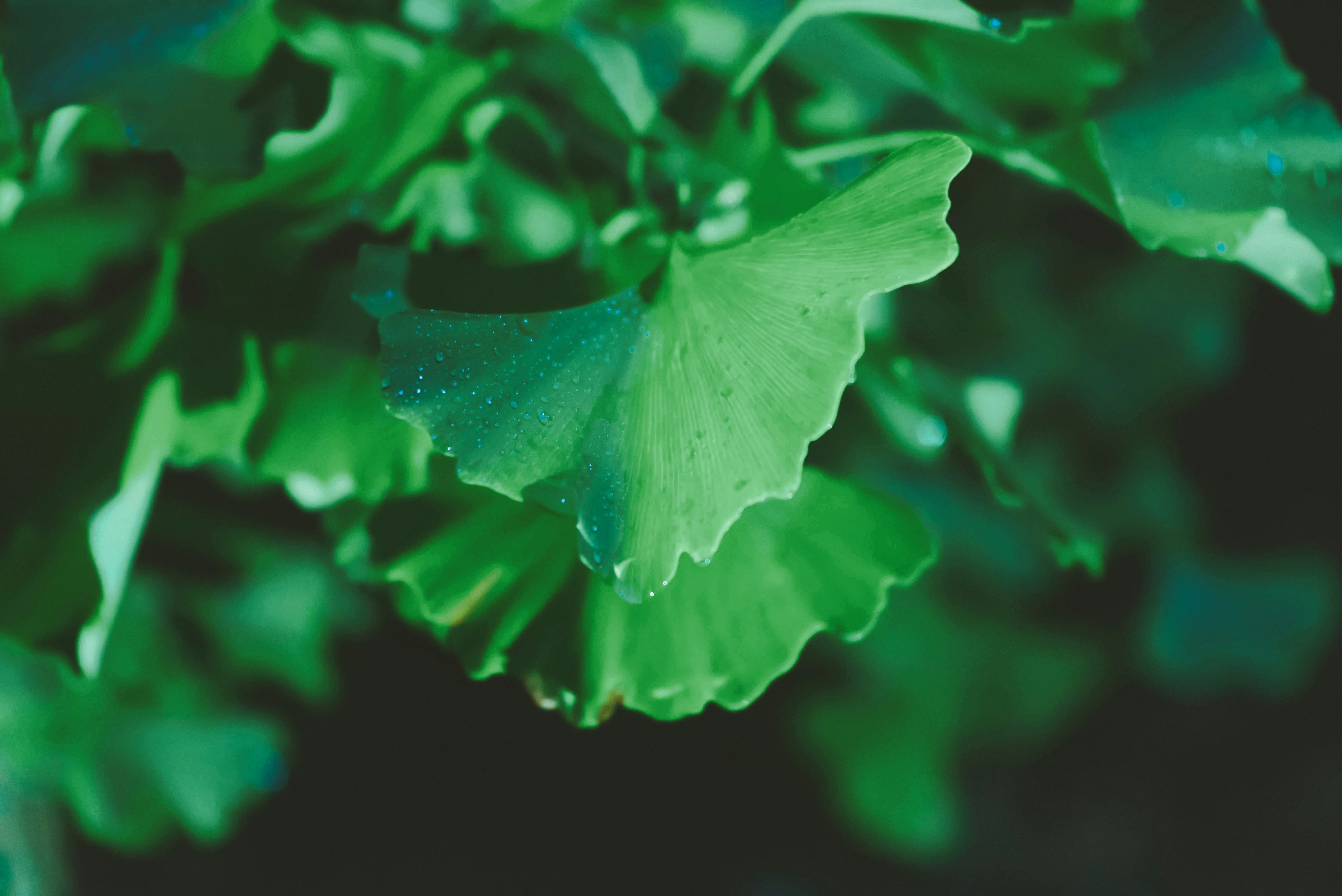 Photo by radsupercell