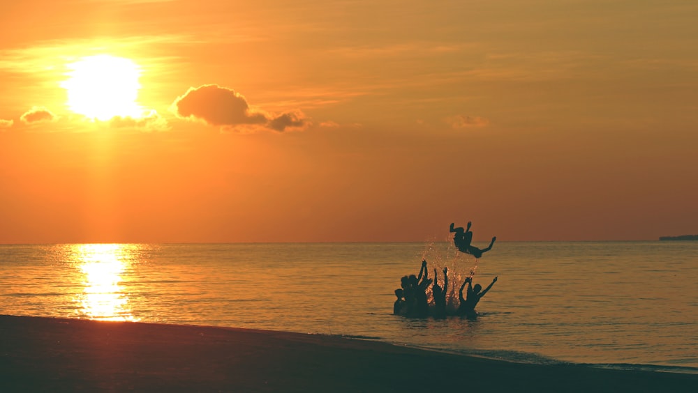 silhouette of people on beach during sunset