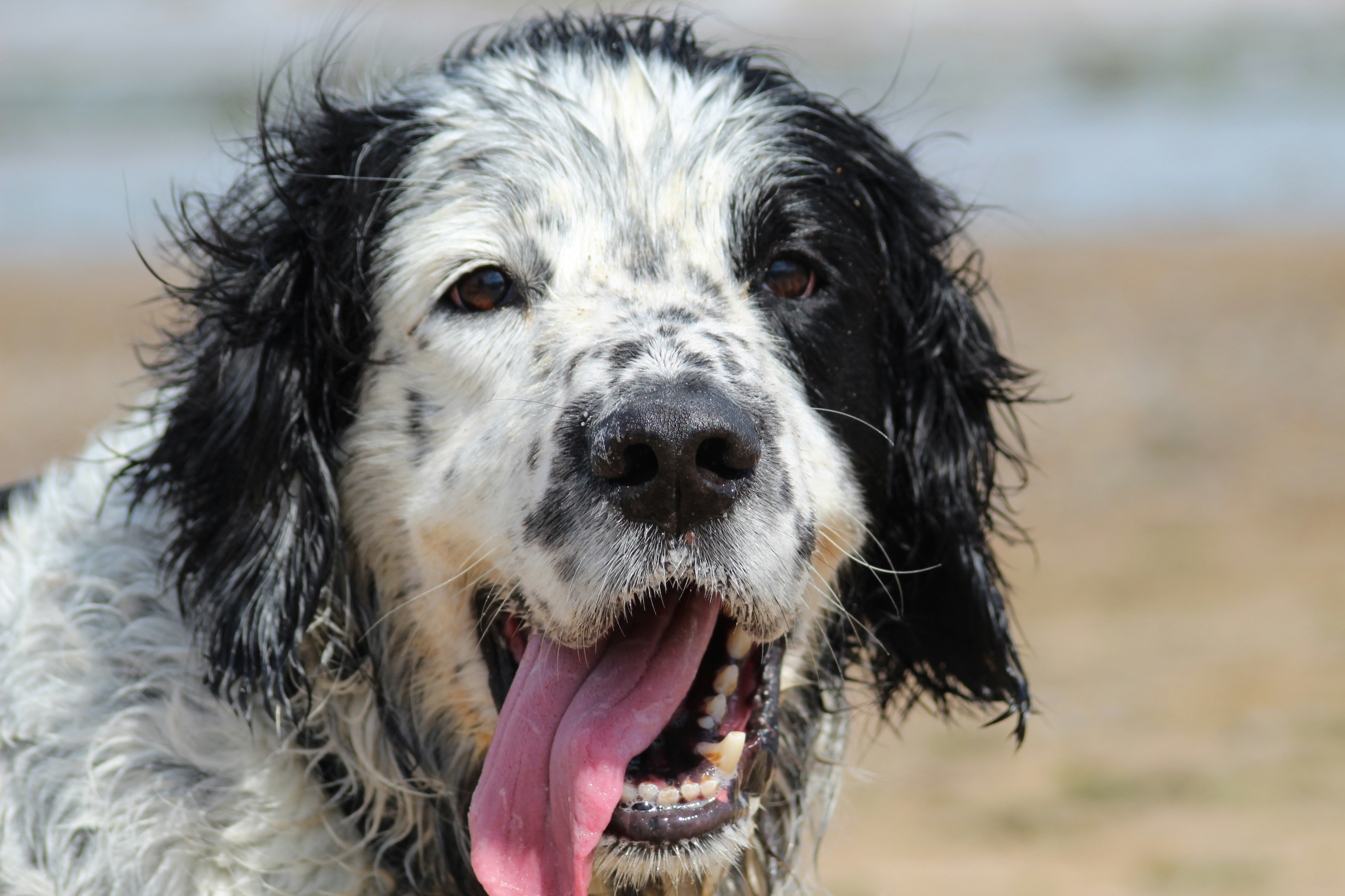 Photo by bxthparker18