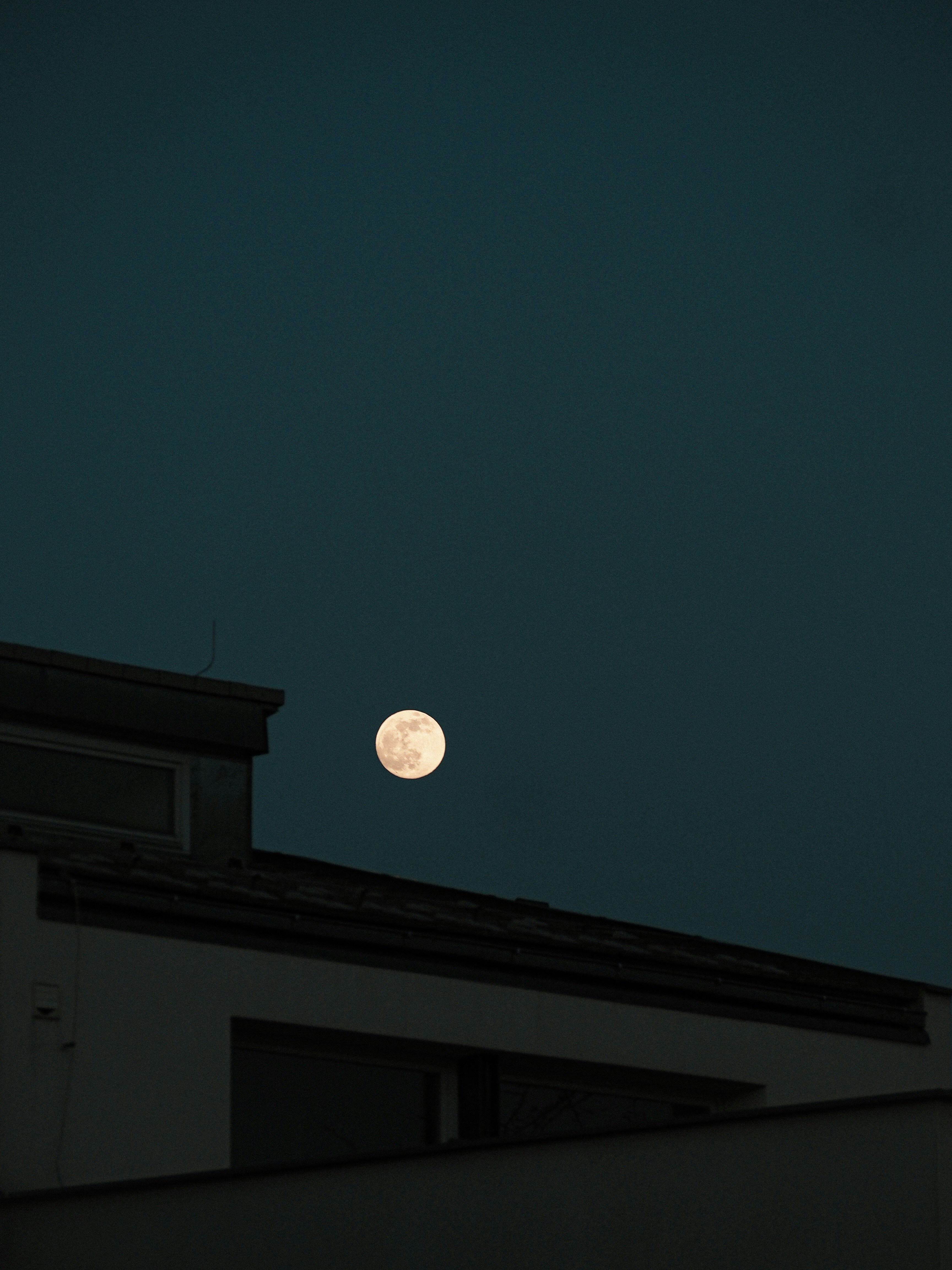 Photo by malotovanatalie