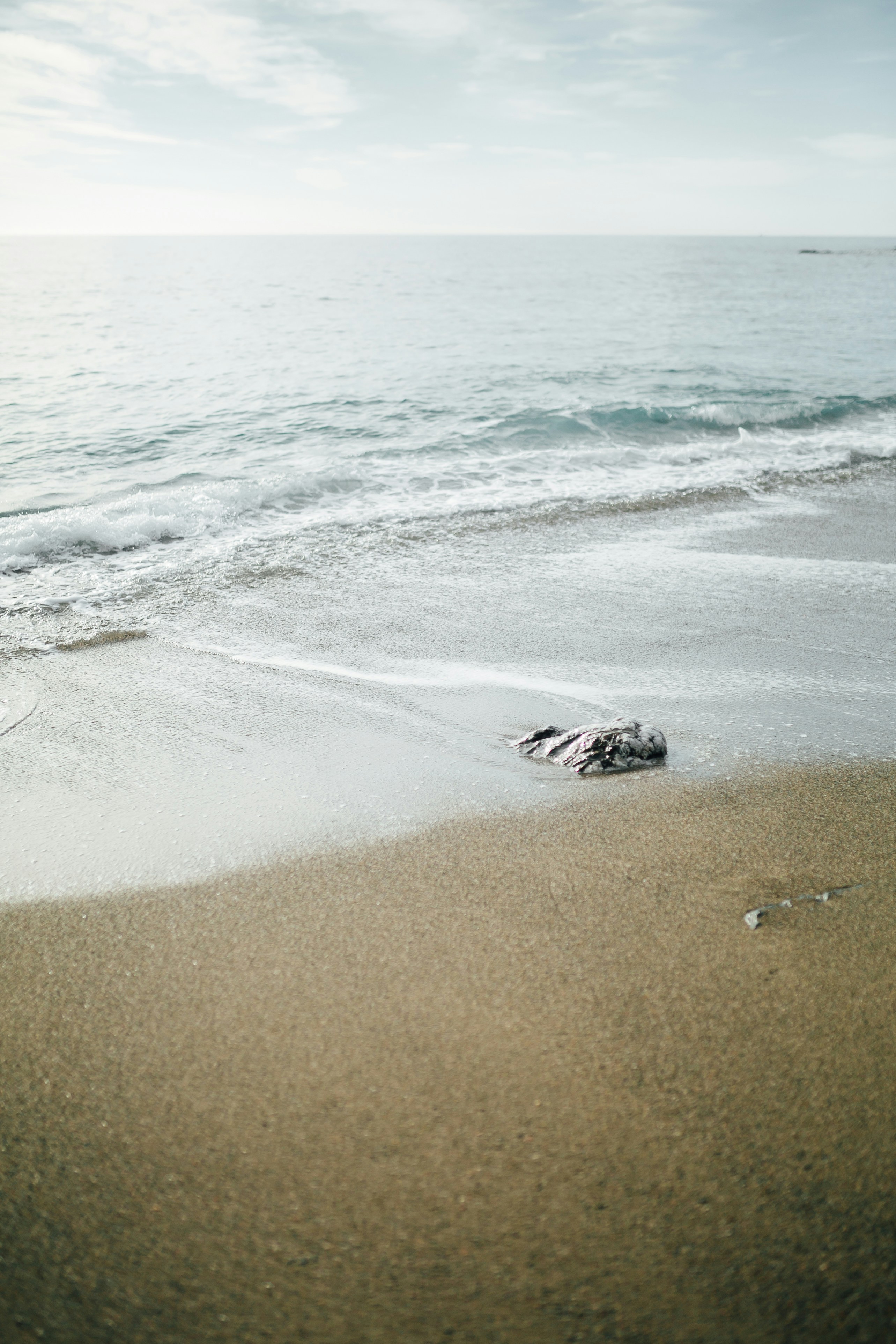 Photo by iamalexfroloff