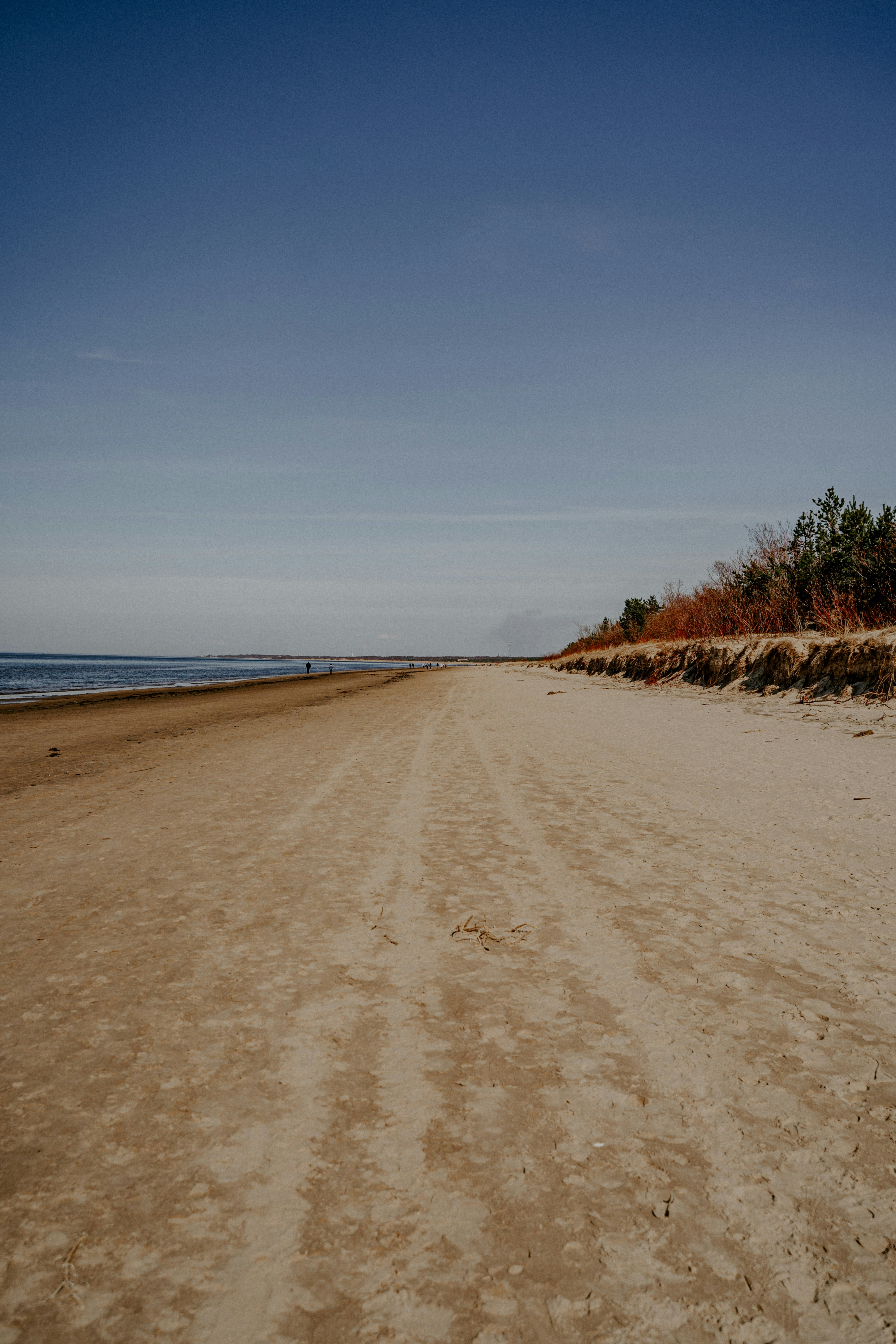 Photo by rihardsdicis