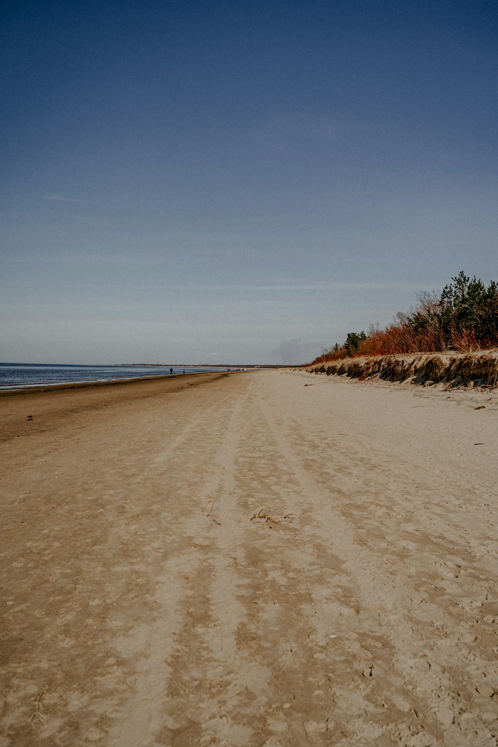 brown sand near sea under blue sky during daytime