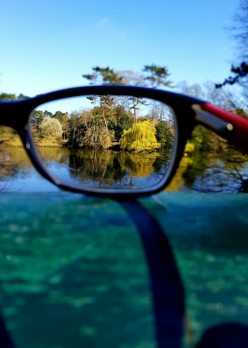 black framed sunglasses on green surface