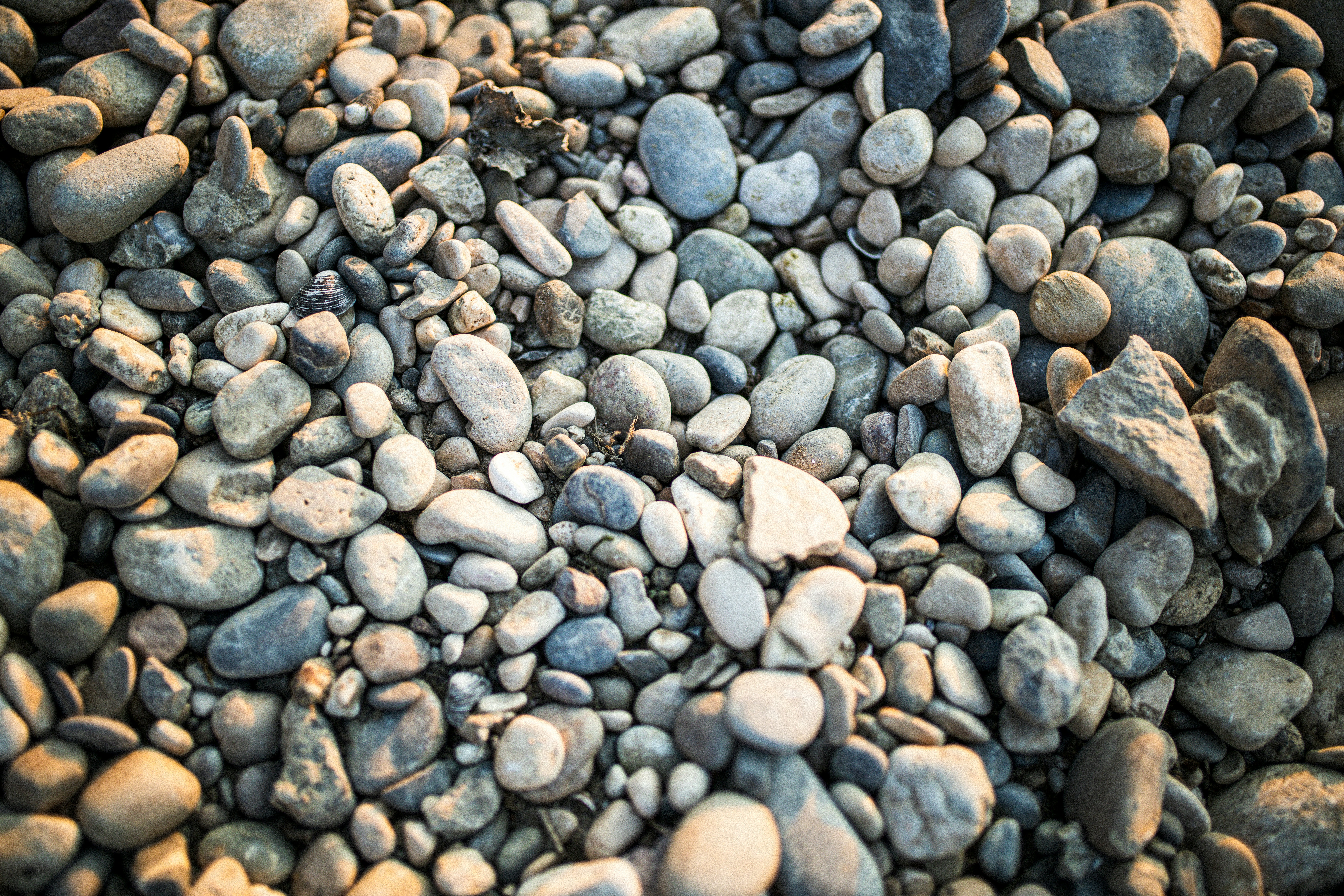 Photo by corina_rainer_