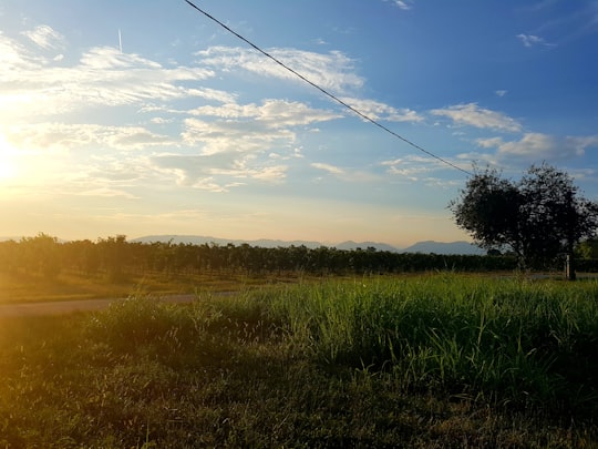 green grass field under blue sky during daytime in Cimadolmo Italy