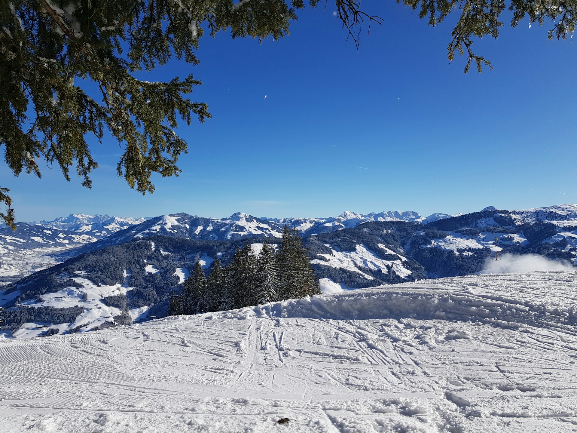 Snow-covered ski slopes with pine trees under a clear blue sky in the Pyrenees.