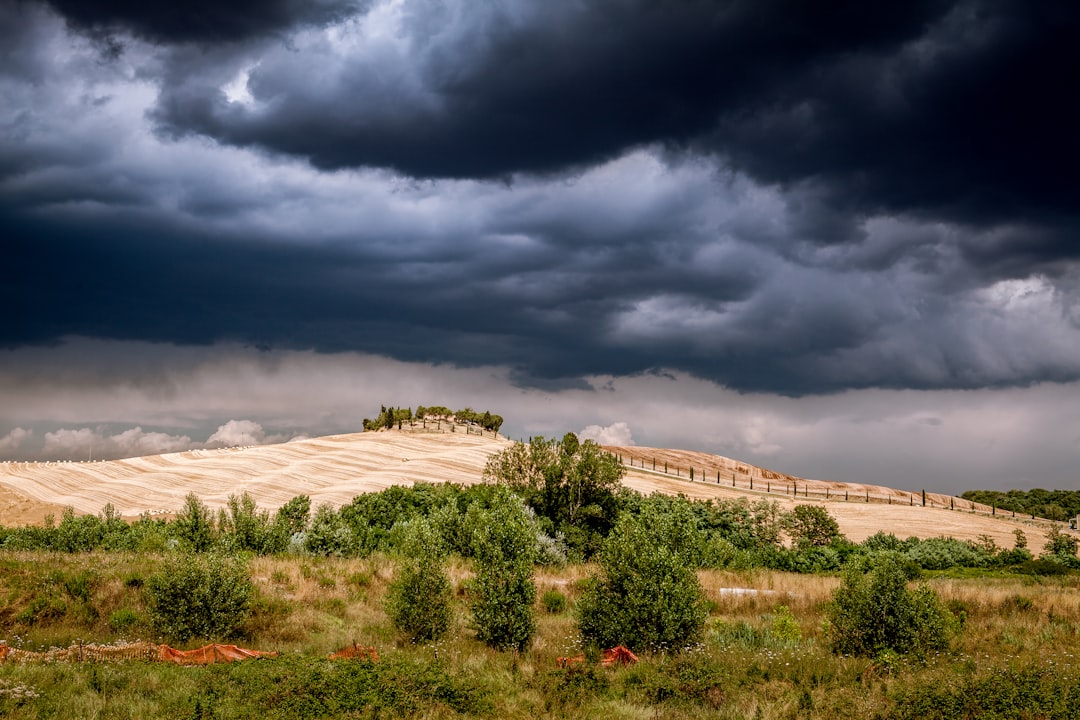 Ecoregion photo spot Tuscany San Quirico d'Orcia