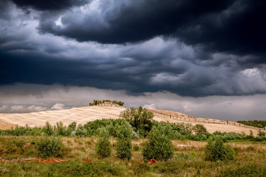 green grass field under gray clouds during daytime in Tuscany Italy