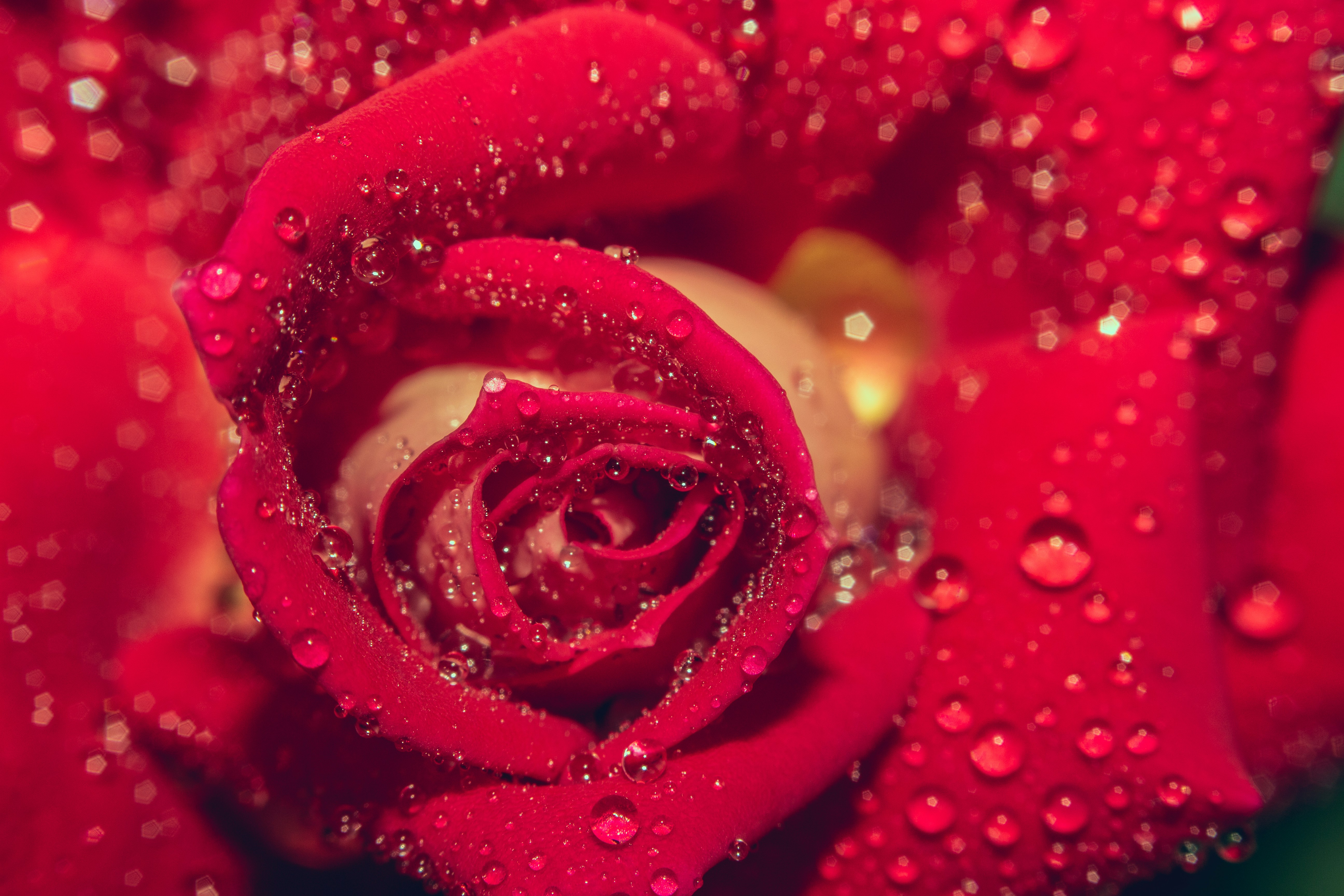 Photo by wildandbeyondbyvivek