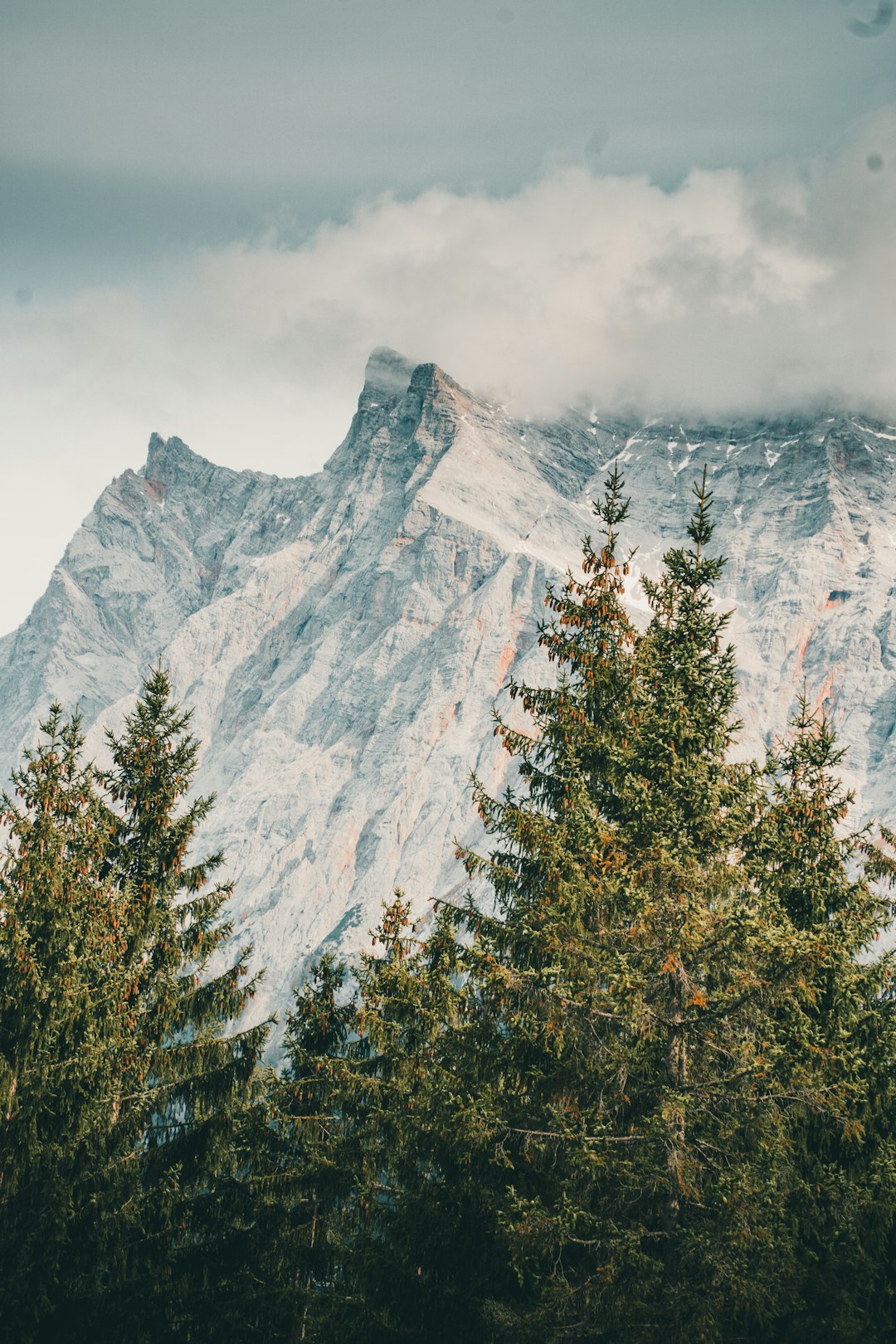 green trees near mountain during daytime