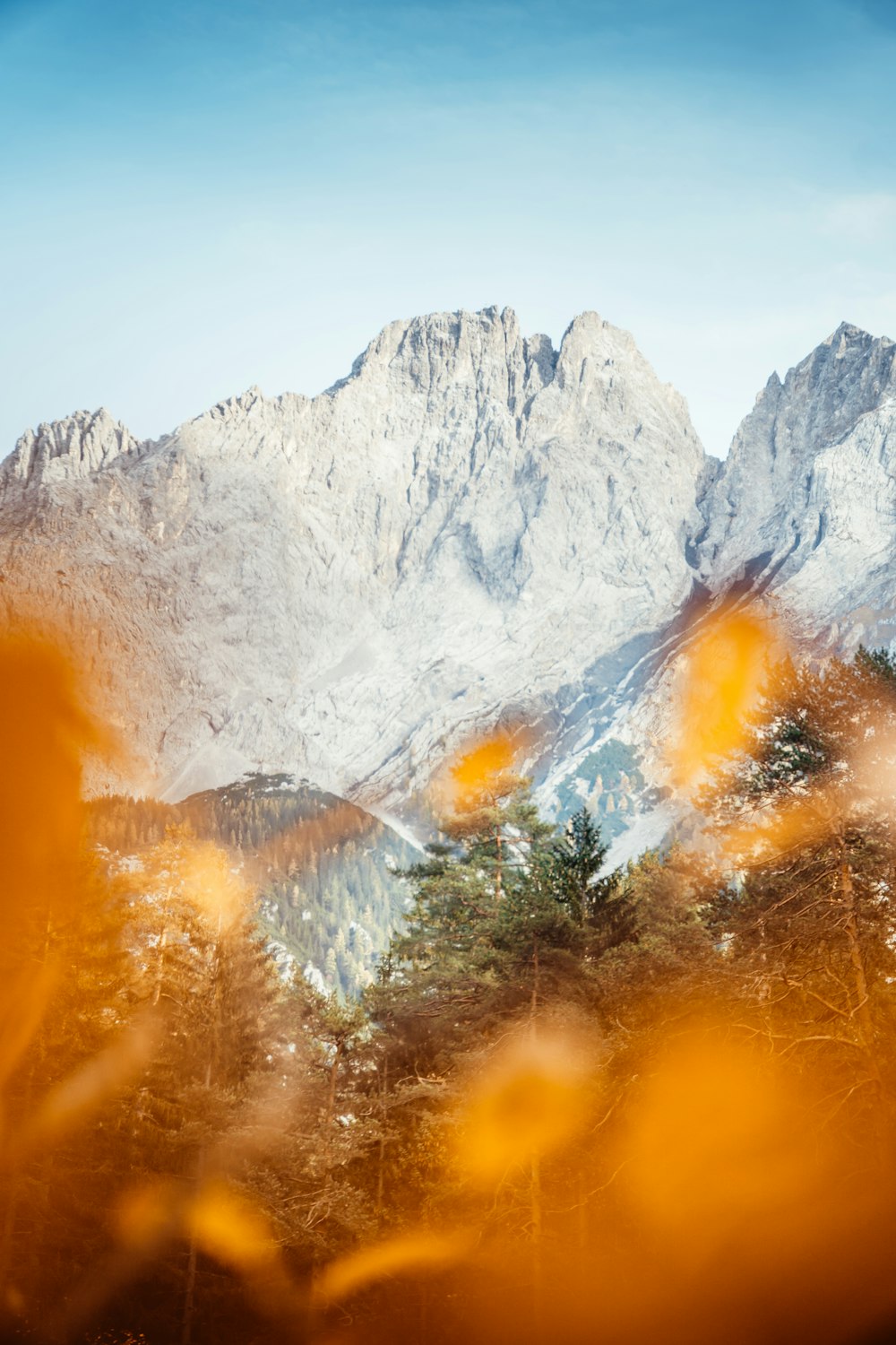 montagne enneigée pendant la journée