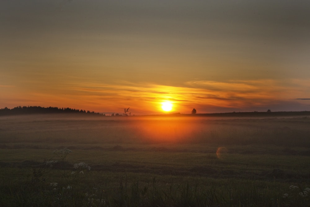 green grass field during sunset