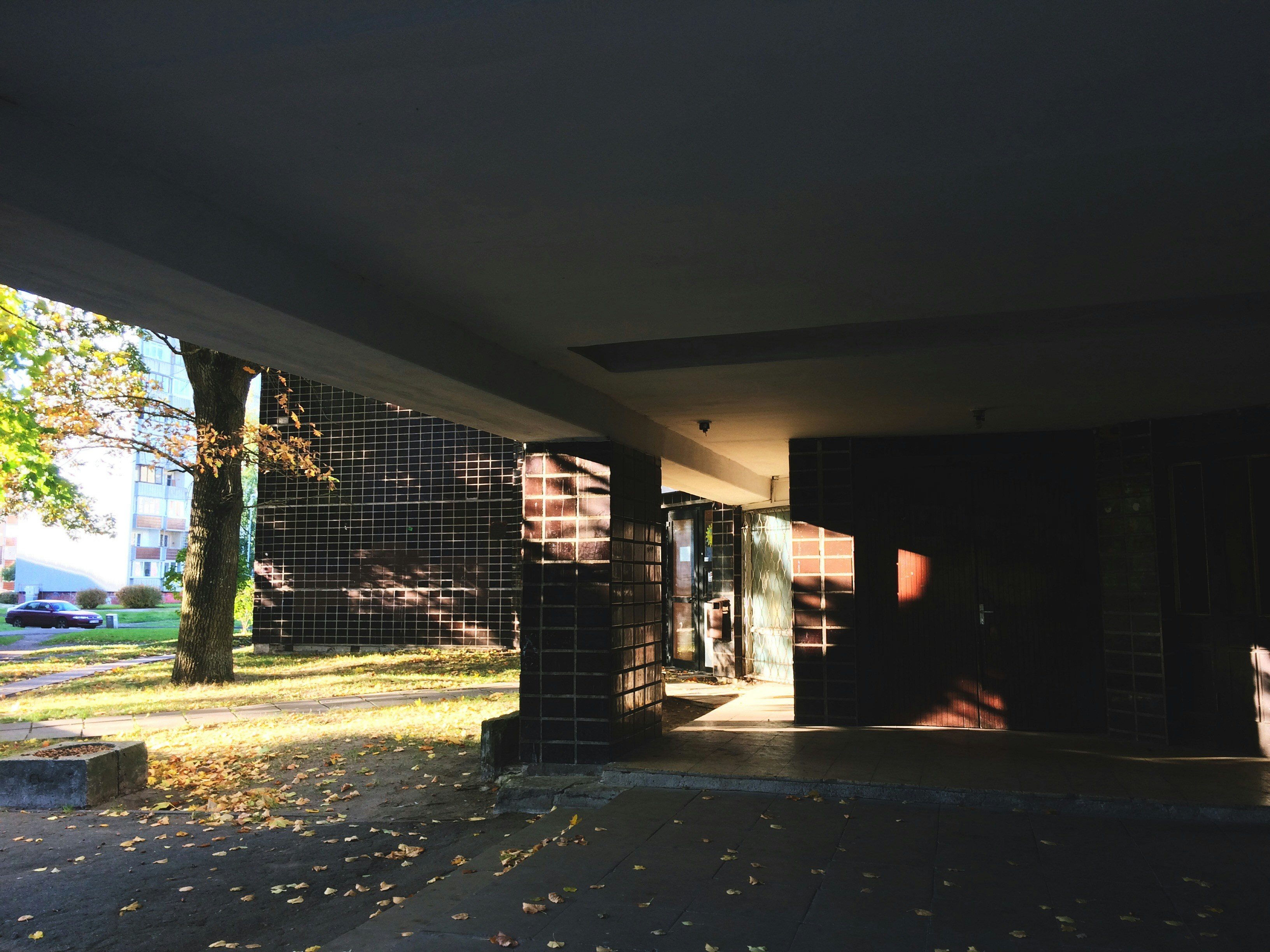 Photo by robertscipulis