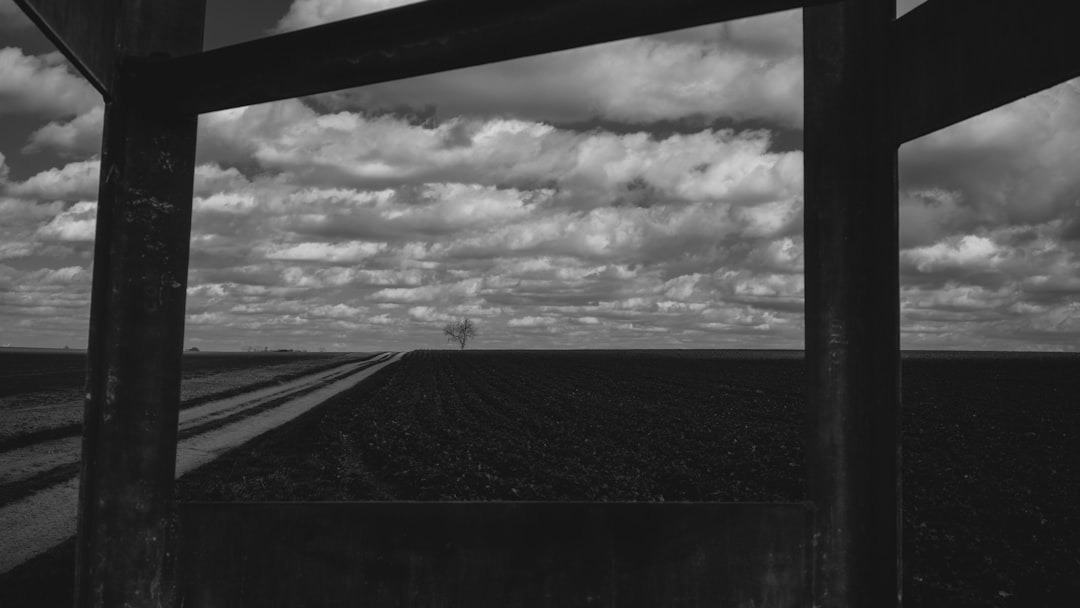 grayscale photo of person walking on the road