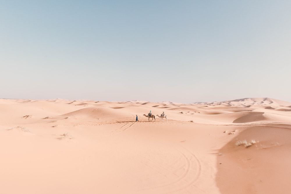 person riding camel on desert during daytime