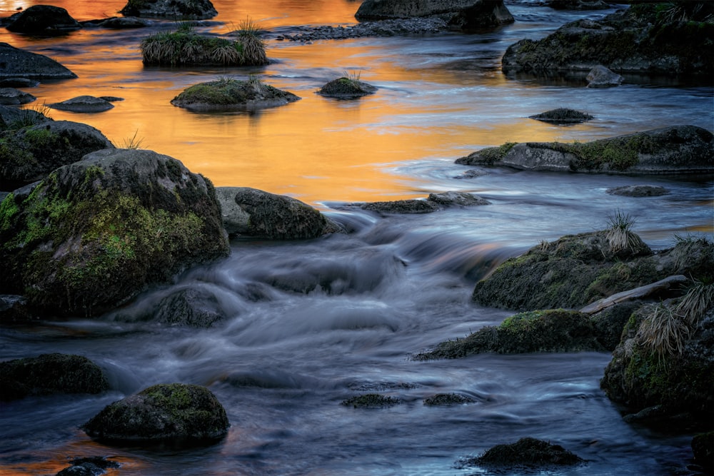 rocky shore with green moss and rocks during sunset