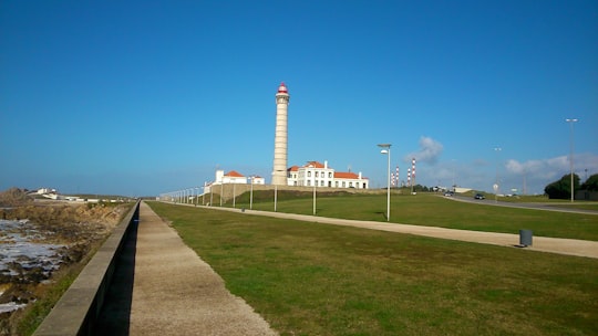 white and brown lighthouse under blue sky during daytime in Leça da Palmeira Portugal