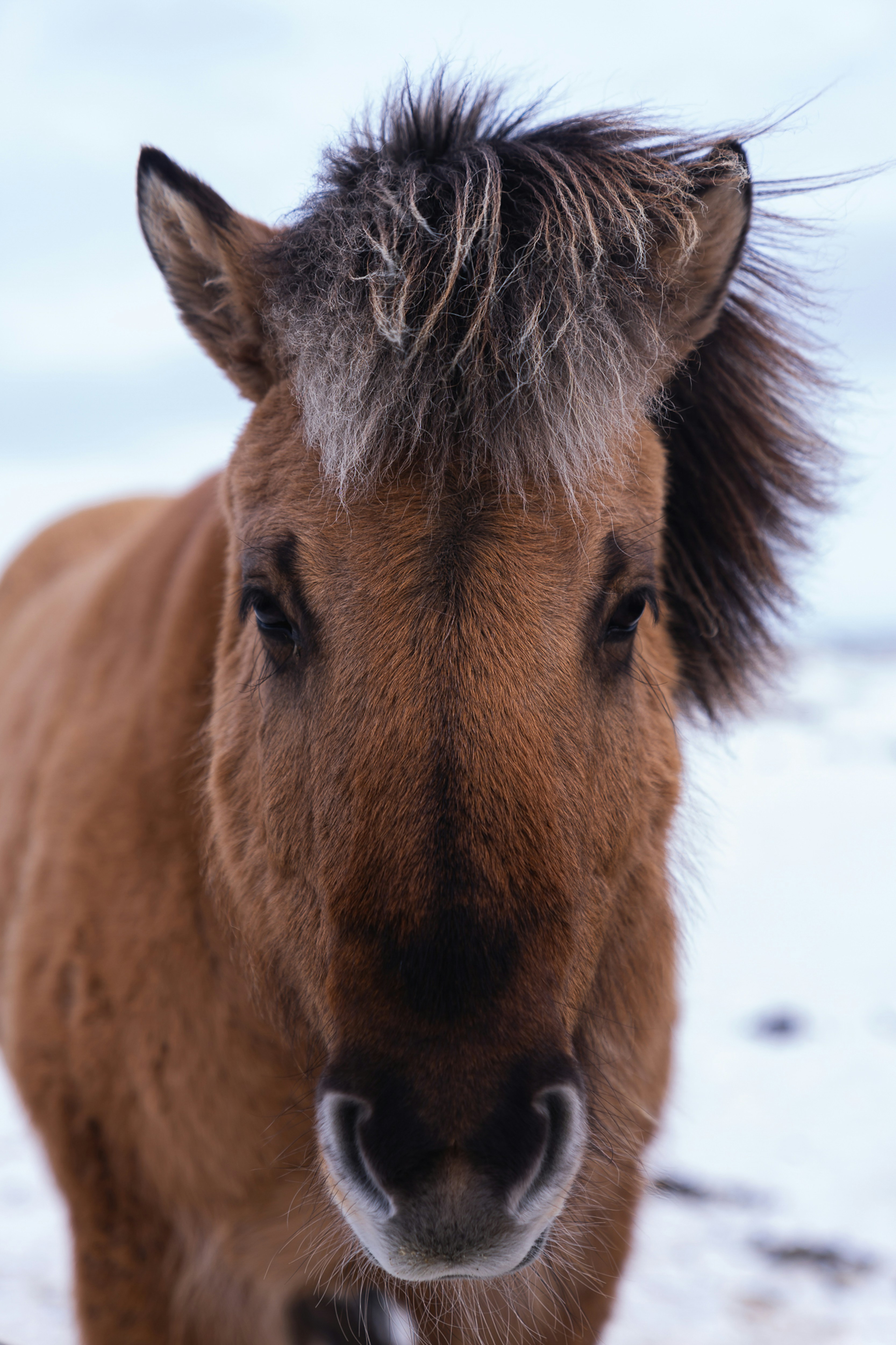 Photo by dylancalluy