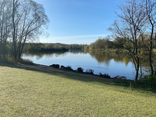 lake in the middle of trees in Arrow Valley Country Park United Kingdom