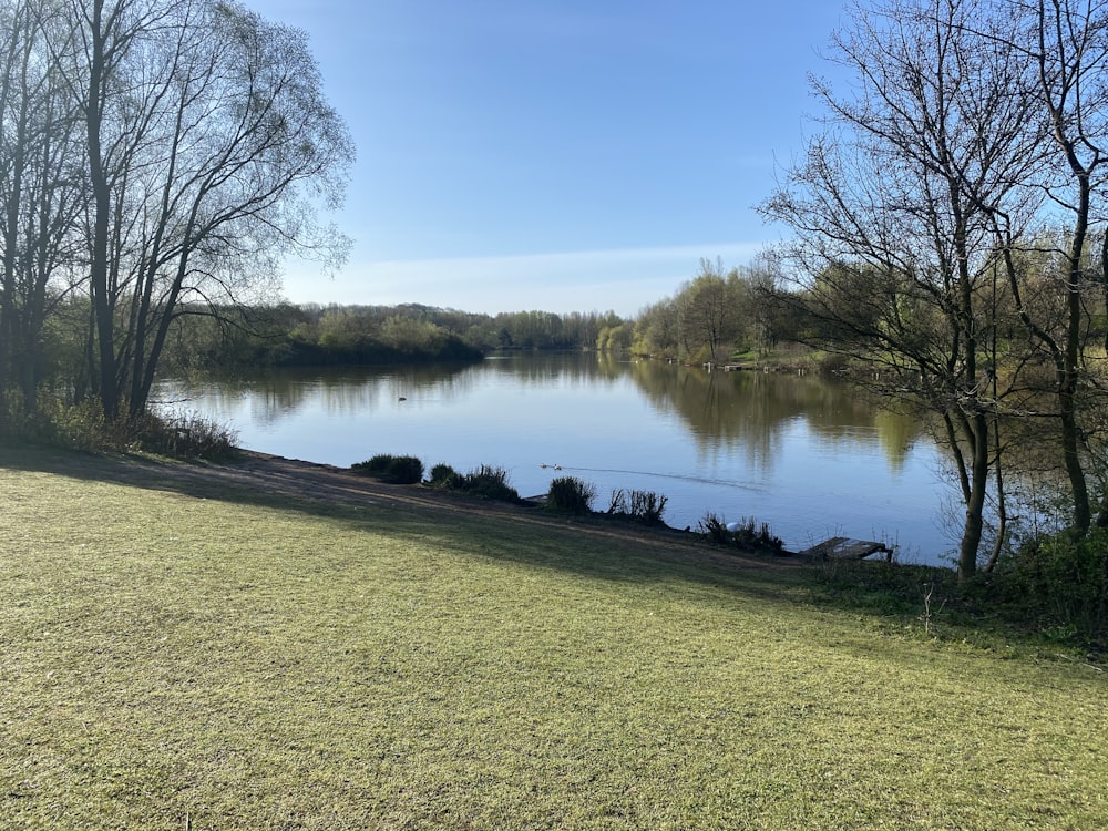 lake in the middle of trees