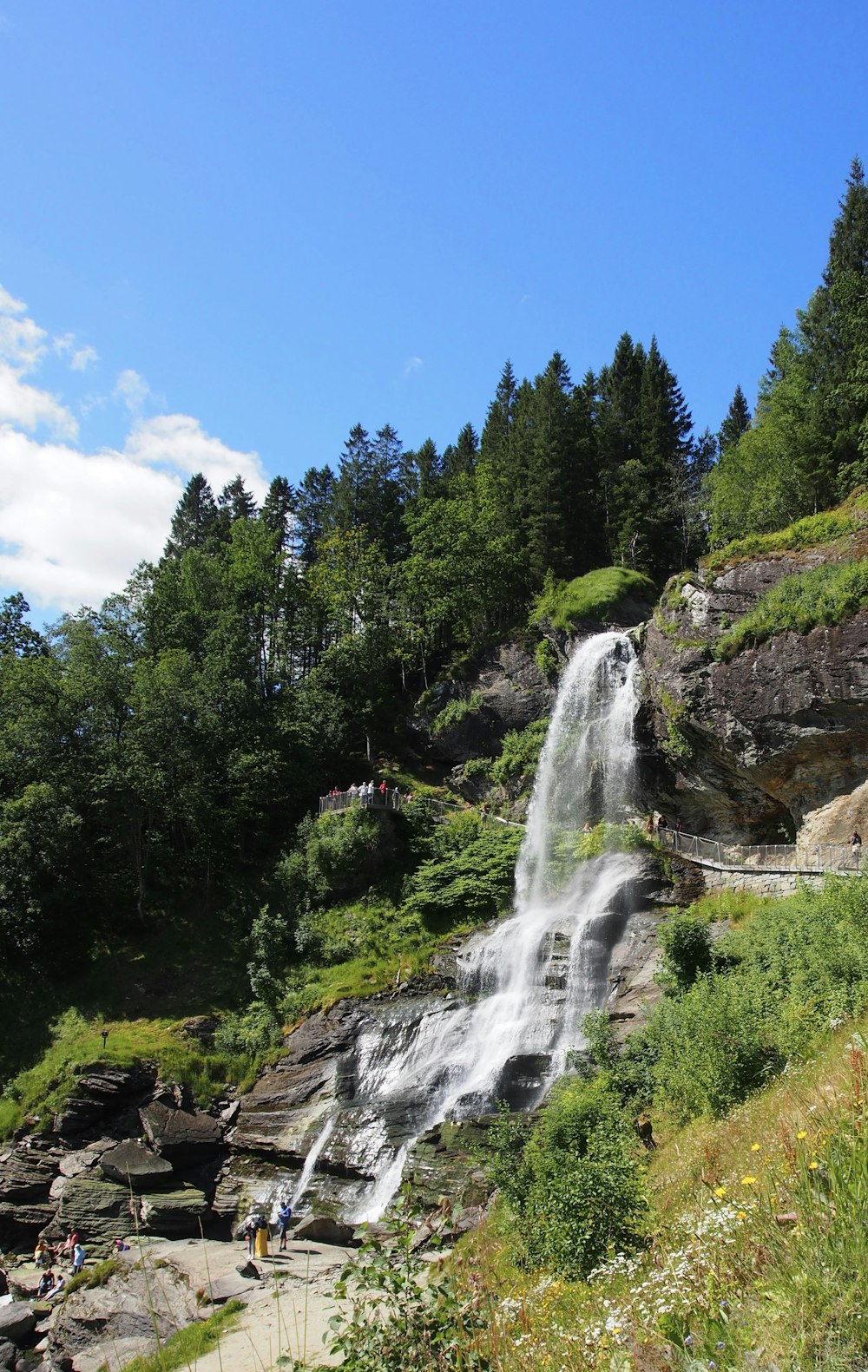 waterfalls in the middle of forest during daytime