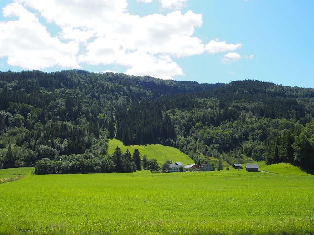 green grass field near green trees under white clouds during daytime